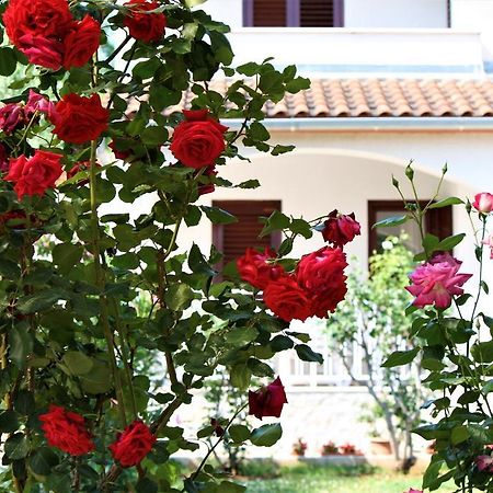 Holiday Home Magnolia Tar-Vabriga Ngoại thất bức ảnh