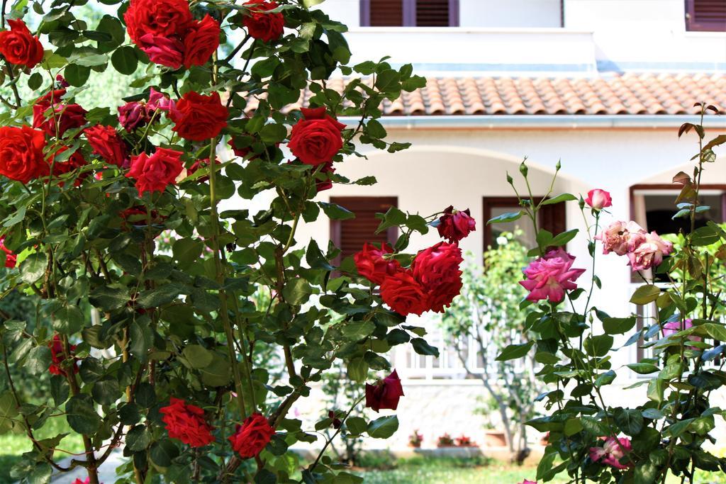 Holiday Home Magnolia Tar-Vabriga Ngoại thất bức ảnh